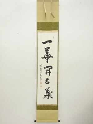 前大徳　丹羽萬寧筆　「一華開五葉」　一行書　肉筆紙本掛軸